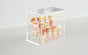 Acrylic Display Case C9
