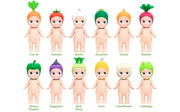 Vegetable Series P8