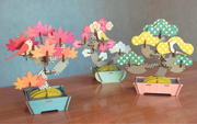 Play Plants Bonsai Puzzles C5