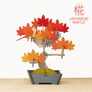 Play Plants Bonsai Puzzles C5