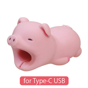 CABLE BITE for Type-C USB W2