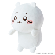 Posture Pal - CHiiKAWA Y6