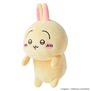 Posture Pal - CHiiKAWA Y6