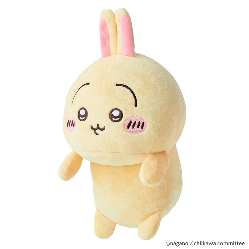 Posture Pal - CHiiKAWA Y6