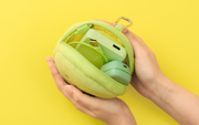 SMISKI Cushion Pouch U7