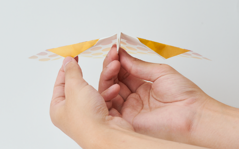 Papillon Origami Airplanes Q7