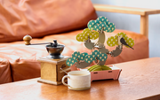 Play Plants Bonsai Puzzles C5