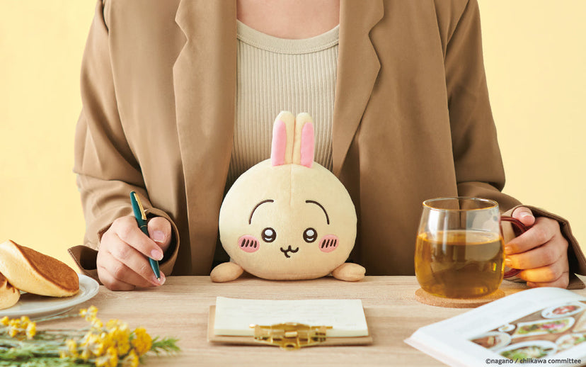 Posture Pal - CHiiKAWA Y6