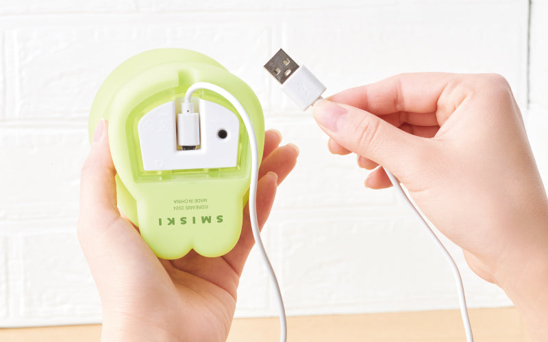 SMISKI Touch Light Z8