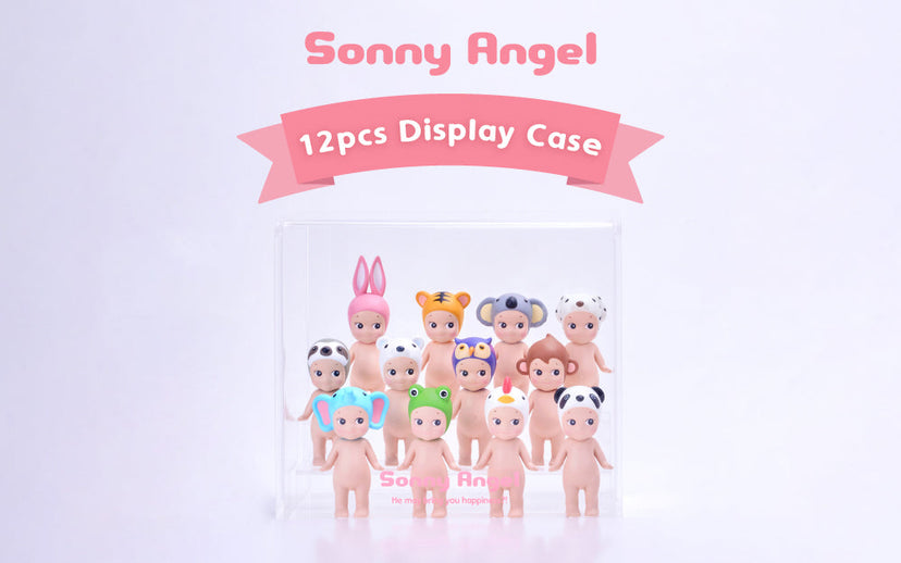 Acrylic Display Case C9
