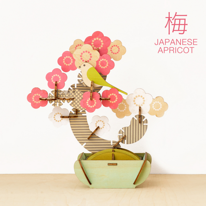 Play Plants Bonsai Puzzles C5