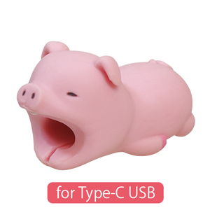 CABLE BITE for Type-C USB W2