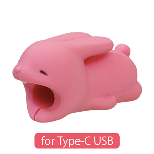 CABLE BITE for Type-C USB W2